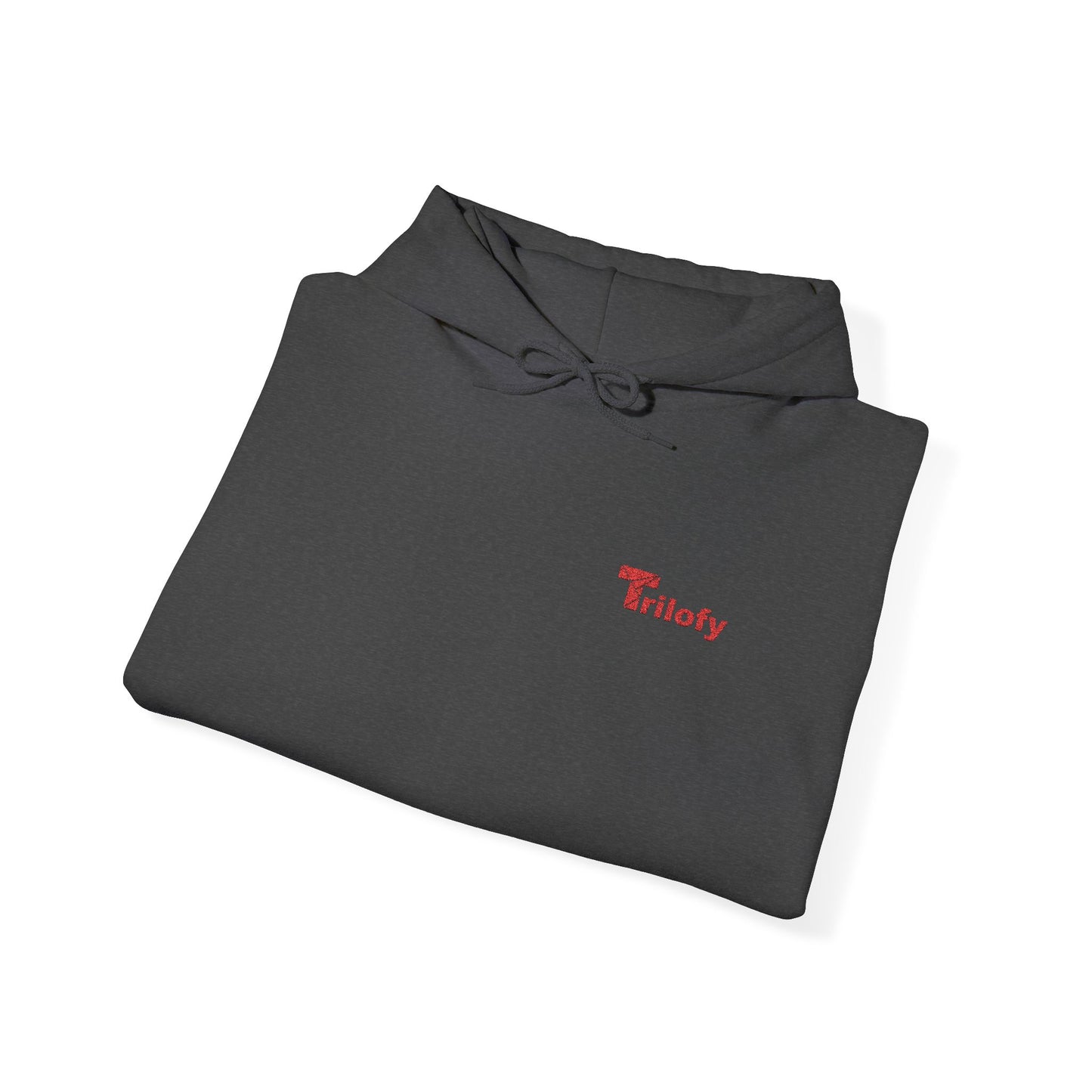Cozy Unisex Hooded Sweatshirt "Trilofy" - Perfect for Chill Days, Casual Hangouts, Celebrations, Everyday Wear and Gifts
