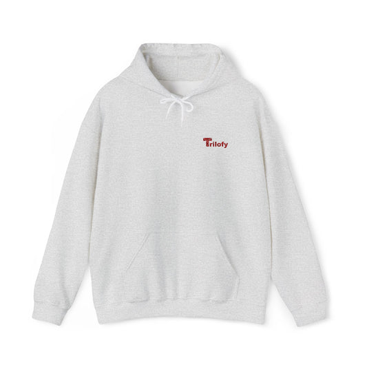Cozy Unisex Hooded Sweatshirt "Trilofy" - Perfect for Chill Days, Casual Hangouts, Celebrations, Everyday Wear and Gifts