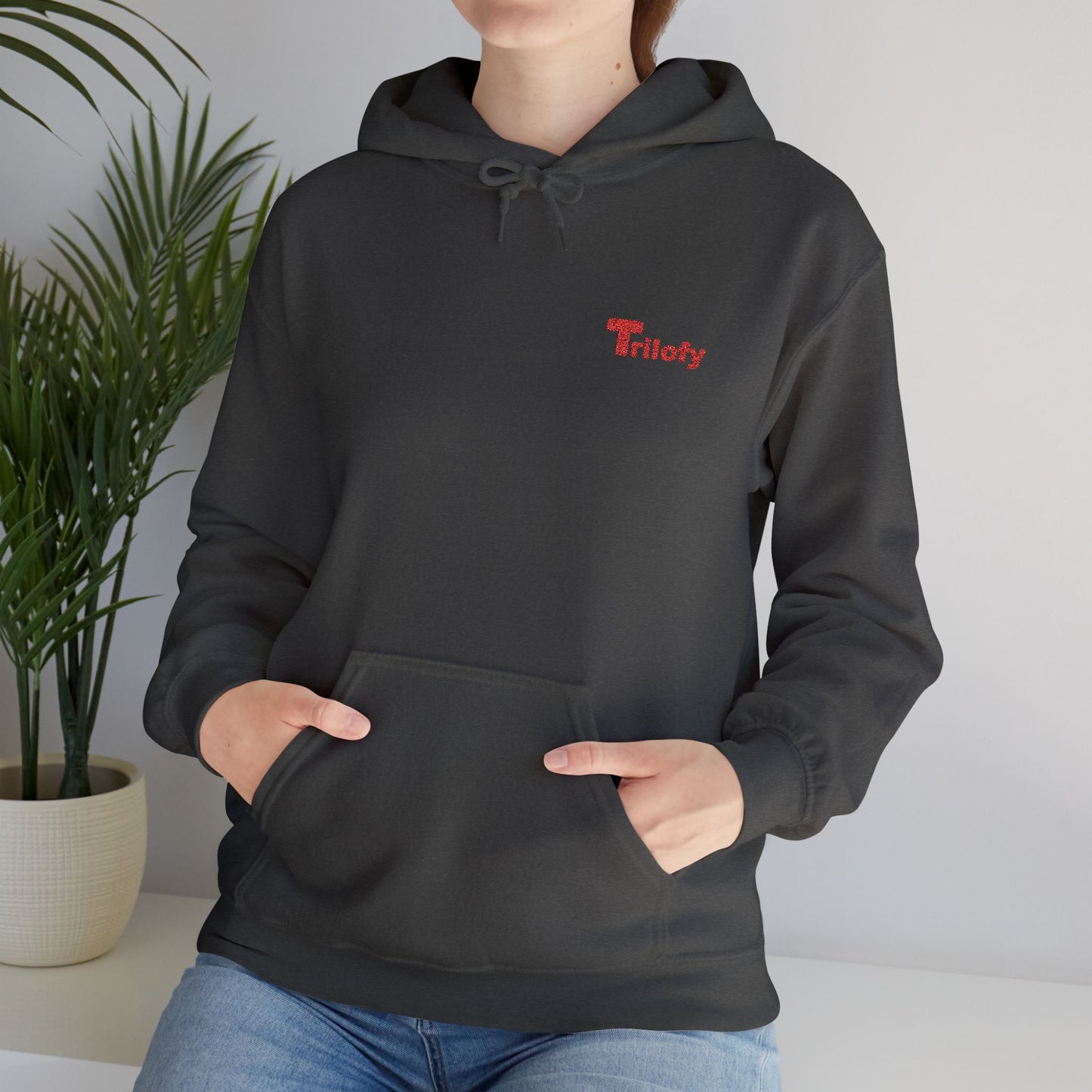 Cozy Unisex Hooded Sweatshirt "Trilofy" - Perfect for Chill Days, Casual Hangouts, Celebrations, Everyday Wear and Gifts