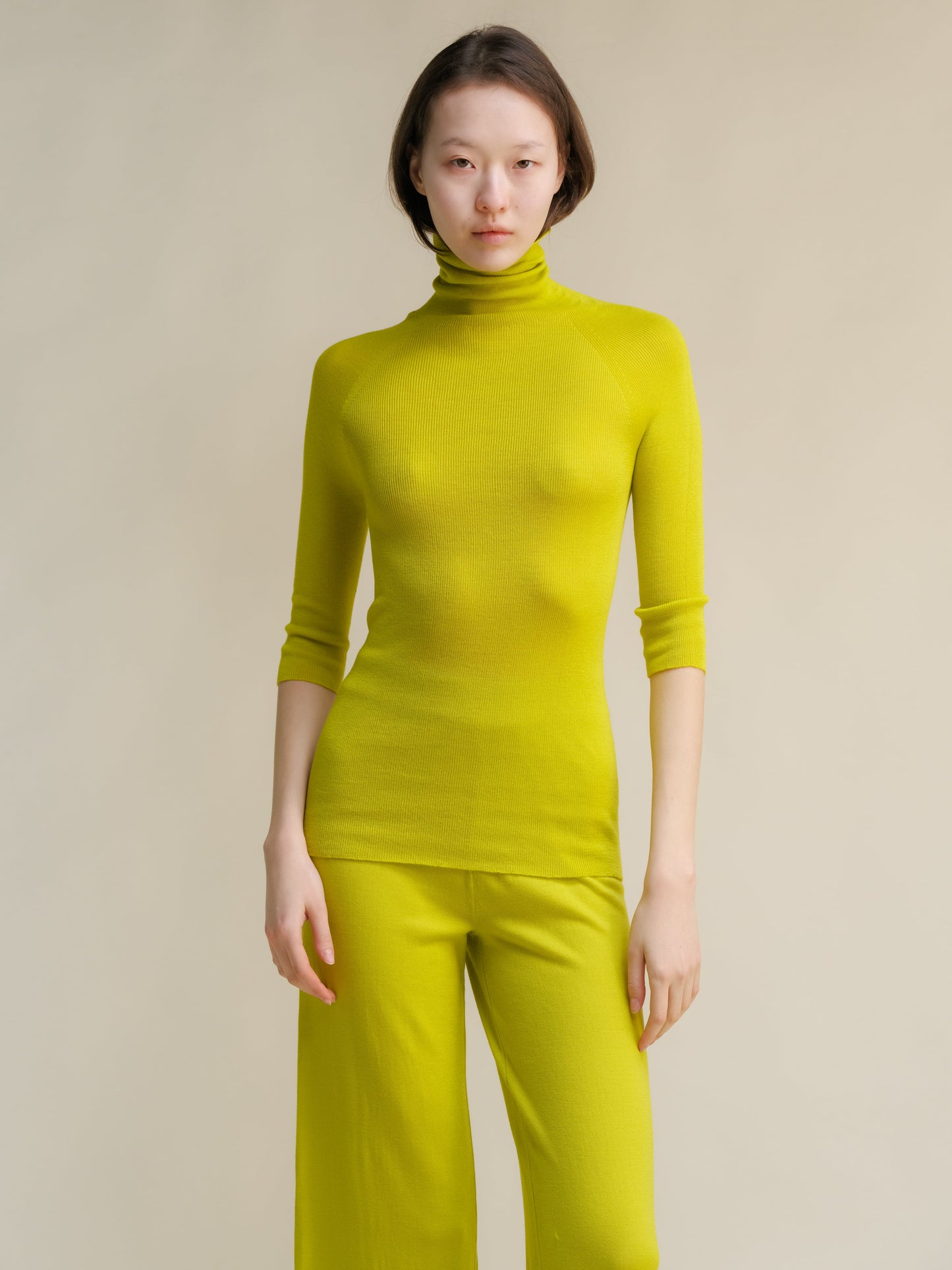 Extra Fine Merino Wool 3/4 Sleeve Ribbed Turtleneck  (3D-Knit)-10