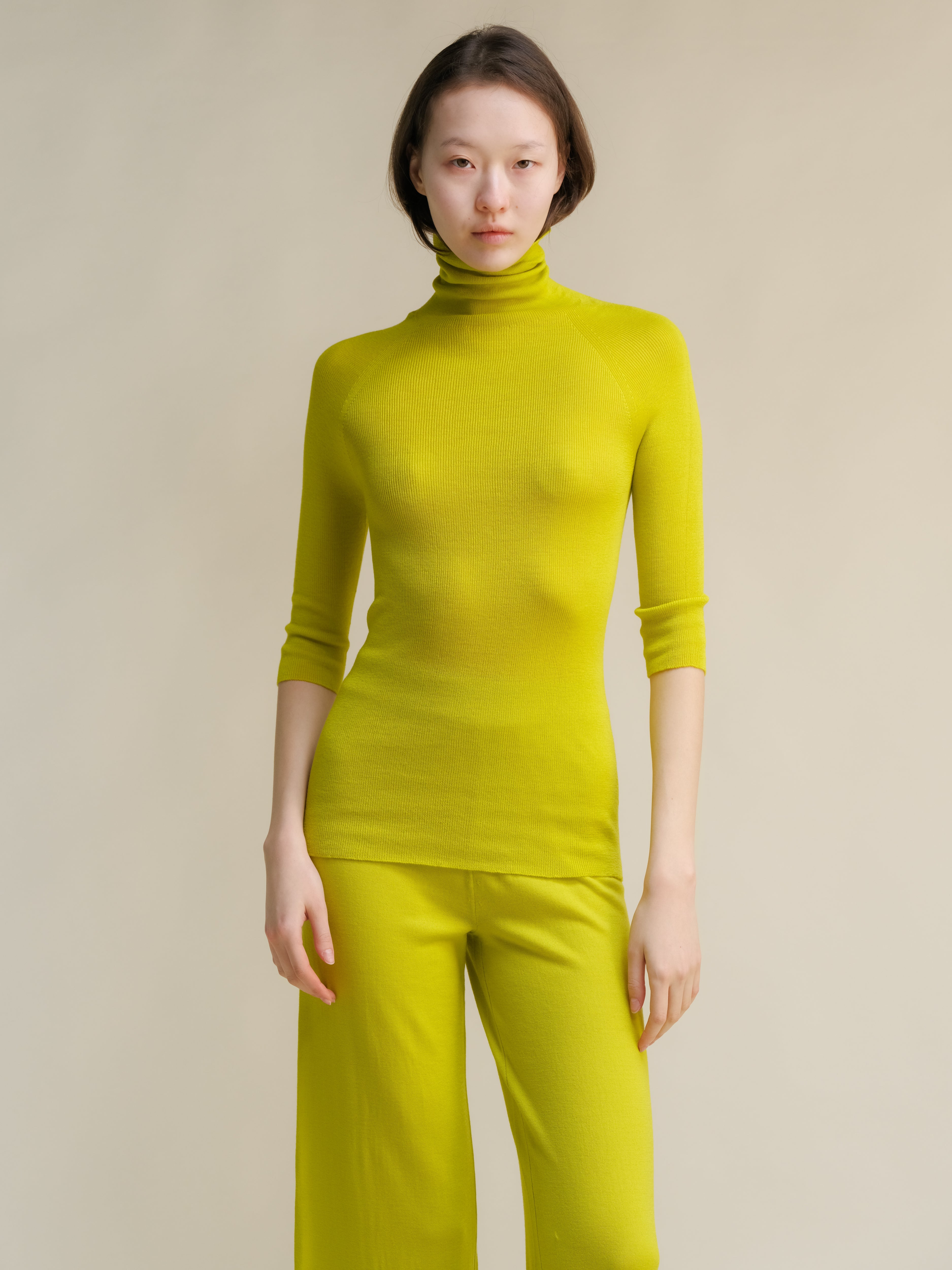 Extra Fine Merino Wool 3/4 Sleeve Ribbed Turtleneck  (3D-Knit)-10