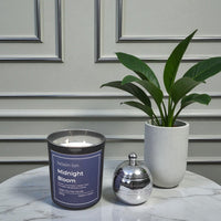 Midnight Bloom