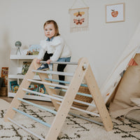 Pikler Triangle Climber with Swedish Wall Add-On (Ages 6m–7y) - Pastel